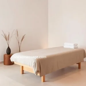 خدمات ماساژ در منزل با ماساژور حرفه‌ای در شیراز معالی‌ آباد